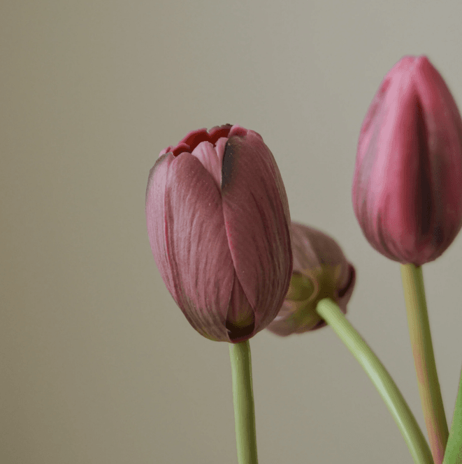 Hovedbilde Botanè Purple Tulip Bouquet