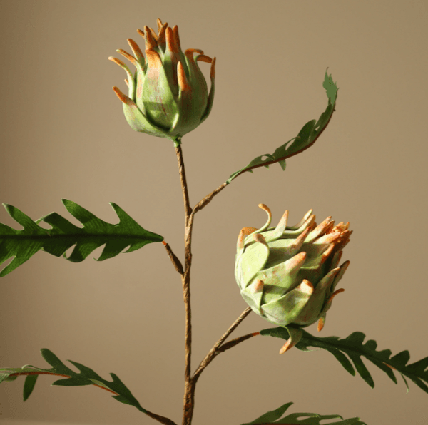 Hovedbilde Green Artichoke Branch/ Botanè