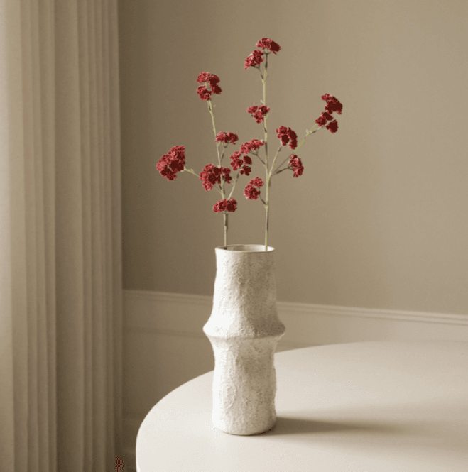 Hovedbilde Red Succulent Stem/ Botanè