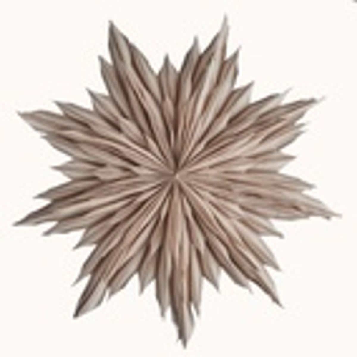 Helena 44 Beige/ Watt&Veke