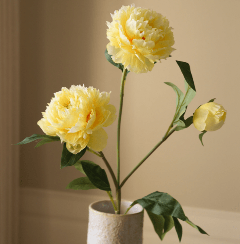 Yellow Peony Flower/ Botané